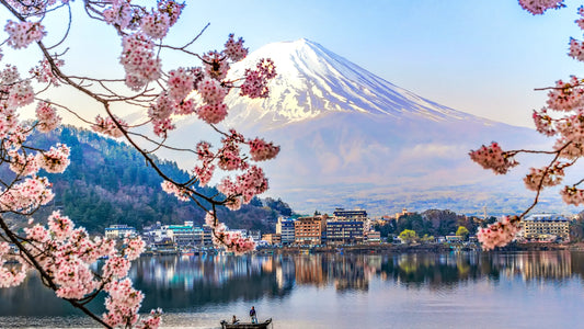 Essential Travel Tips for an Unforgettable Trip to Japan 2024